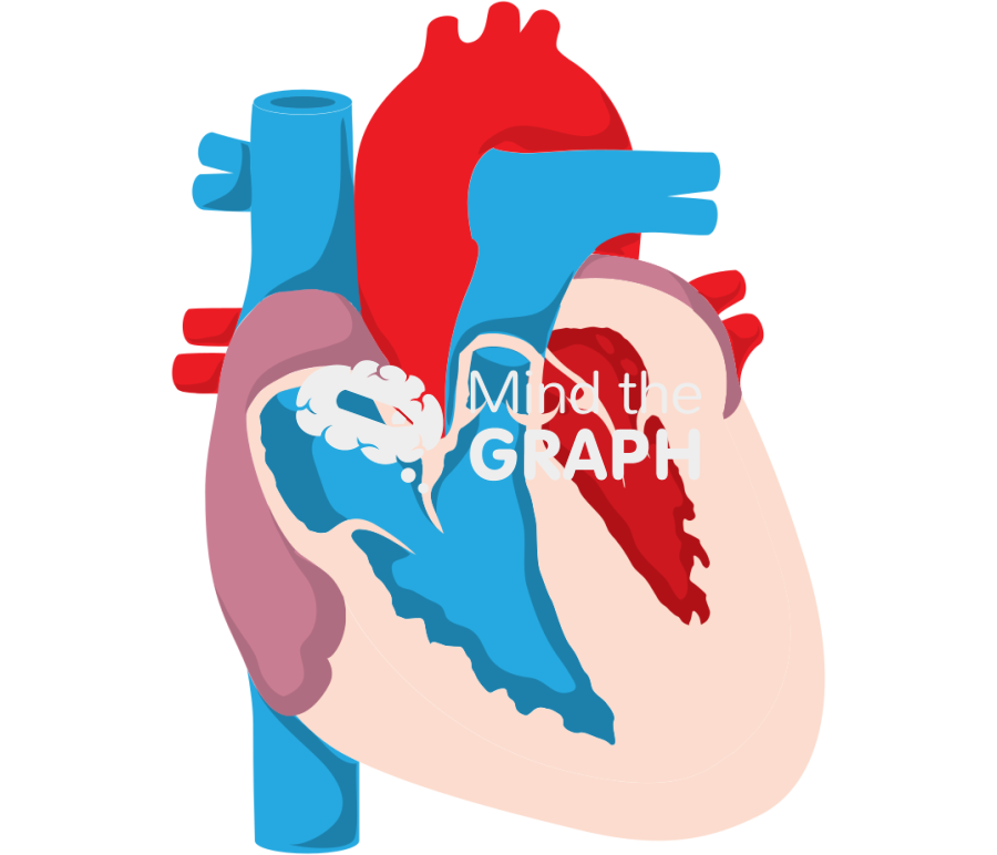 Hypertrophic cardiomyopathy Icons, Symbols, Pictures, and Images