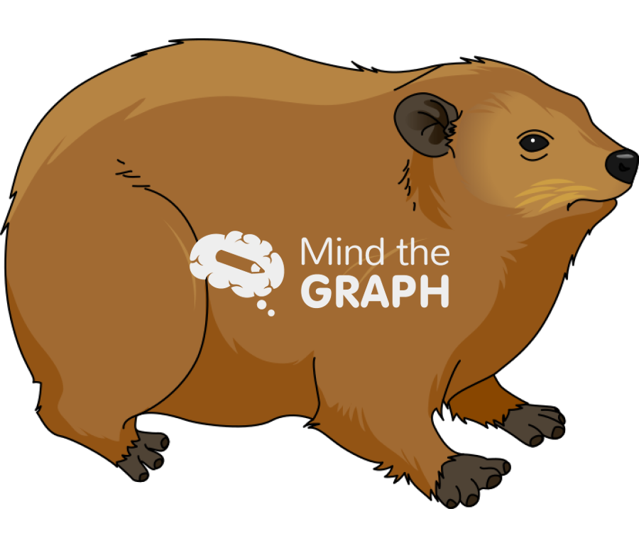Hyrax hiracoidea Icons, Symbols, Pictures, and Images
