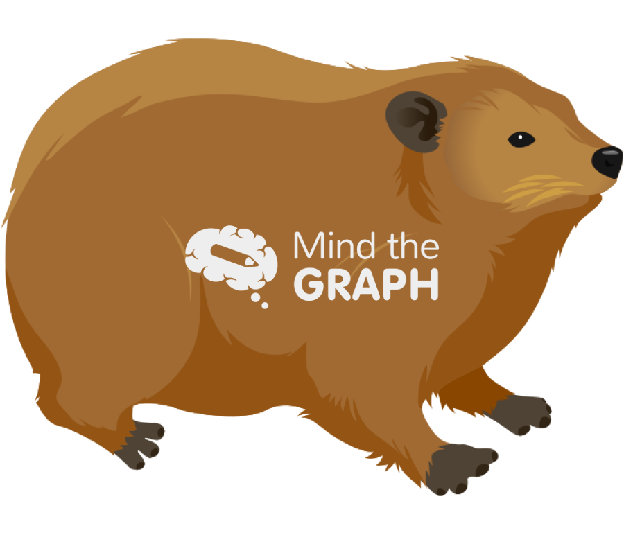Hyrax hiracoidea Icons, Symbols, Pictures, and Images