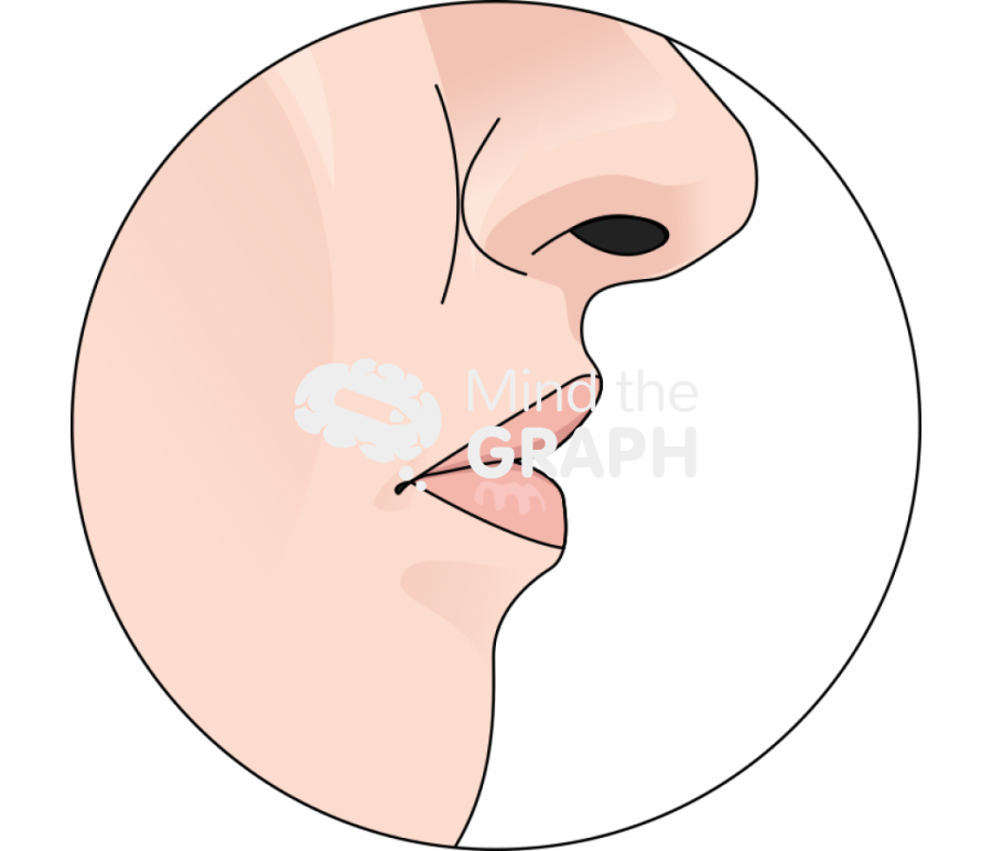 Ideal lip lateral zoom Icons, Symbols, Pictures, and Images