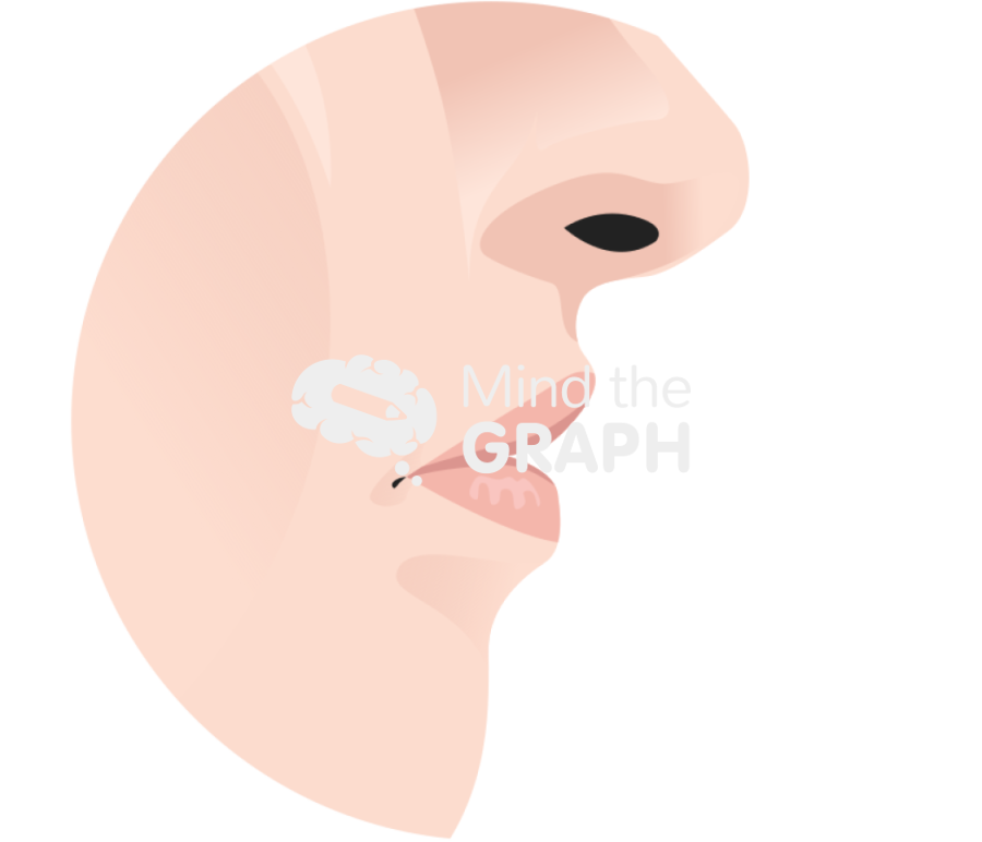 Ideal lip lateral zoom Icons, Symbols, Pictures, and Images