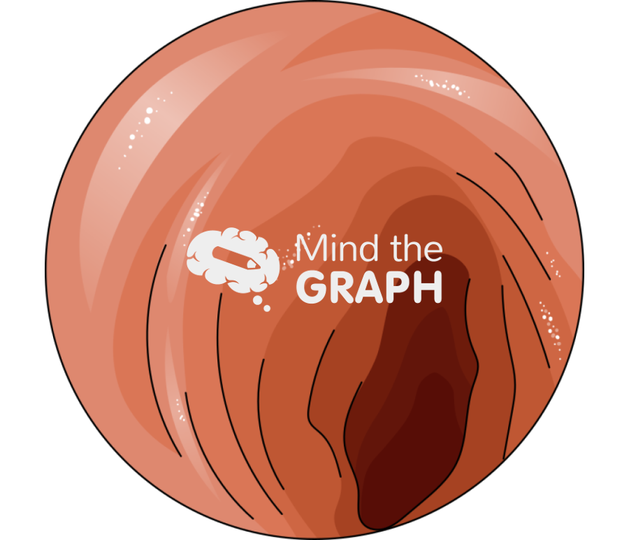 Ileum zoom Icons, Symbols, Pictures, and Images