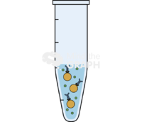 Immunoprecipitation microtube 3 - Edit and Customize Icons of Immunoprecipitation microtube 3 Immunoprecipitation microtube 3 Icons, Symbols, Pictures, and Images