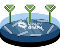 Immunosensing 2 - Edit and Customize Icons of Immunosensing 2 Immunosensing 2 Icons, Symbols, Pictures, and Images
