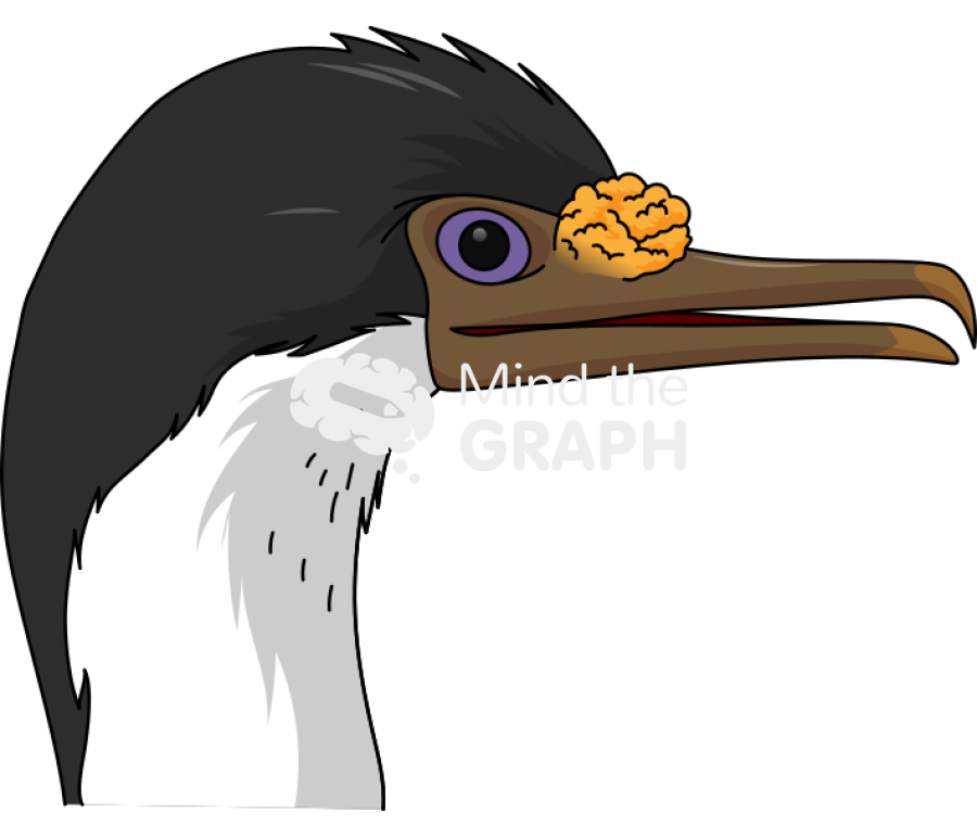 Imperial shag head lateral Icons, Symbols, Pictures, and Images