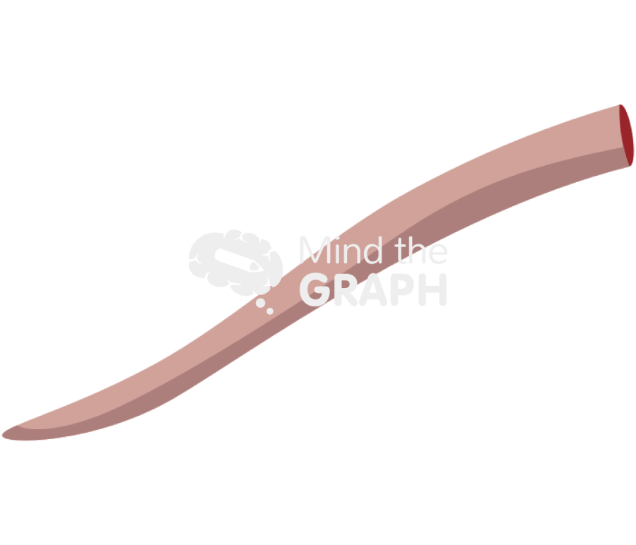 Imputed tail rat 2 Icons, Symbols, Pictures, and Images