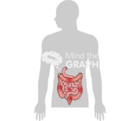 Inflammatory bowel disease - Edit and Customize Icons of Inflammatory bowel disease Inflammatory bowel disease Icons, Symbols, Pictures, and Images