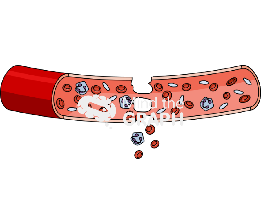 Injury blood vessel longitudinal cut Icons, Symbols, Pictures, and Images