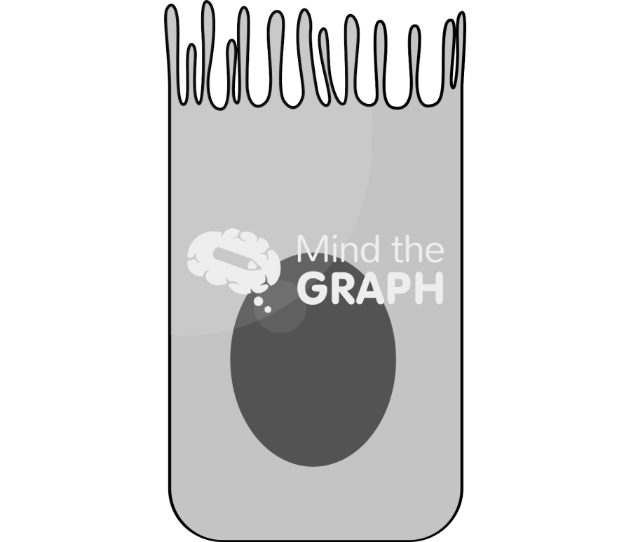 Instestinal Icons, Symbols, Pictures, and Images