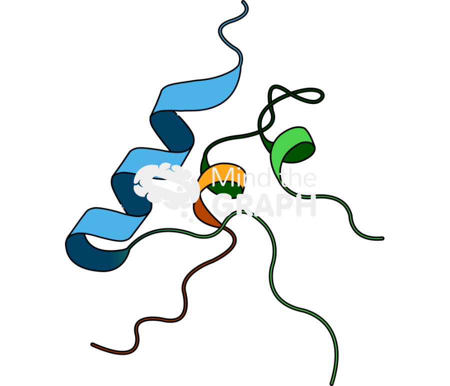 Insulin like growth factor molecule igf Icons, Symbols, Pictures, and Images