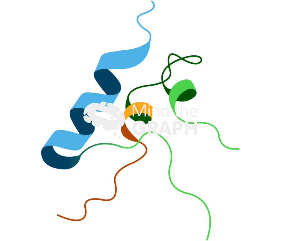 Insulin like growth factor molecule igf Icons, Symbols, Pictures, and Images