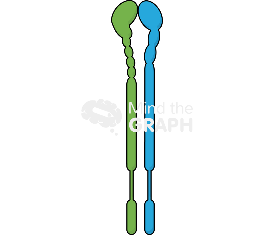 Integrine 2 Icons, Symbols, Pictures, and Images