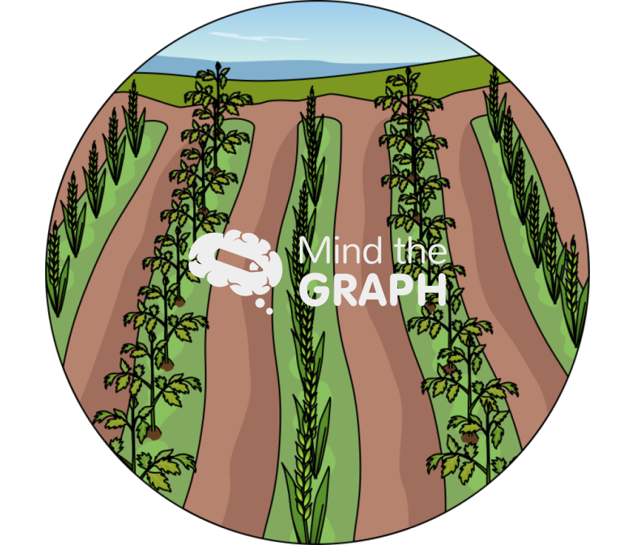 Intercropping zoom Icons, Symbols, Pictures, and Images