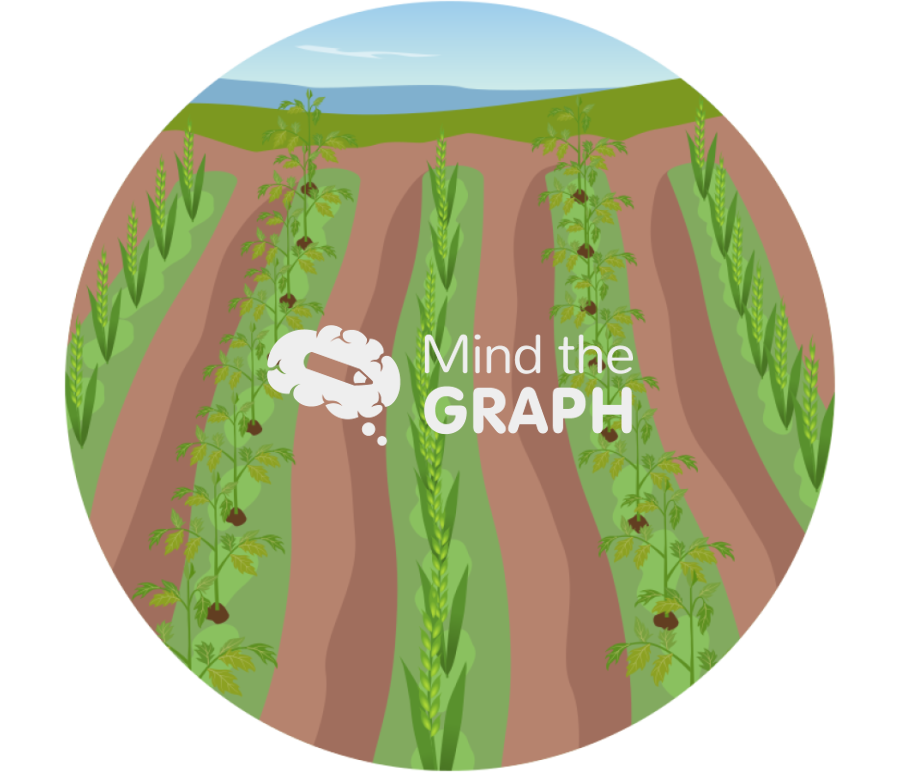 Intercropping zoom Icons, Symbols, Pictures, and Images