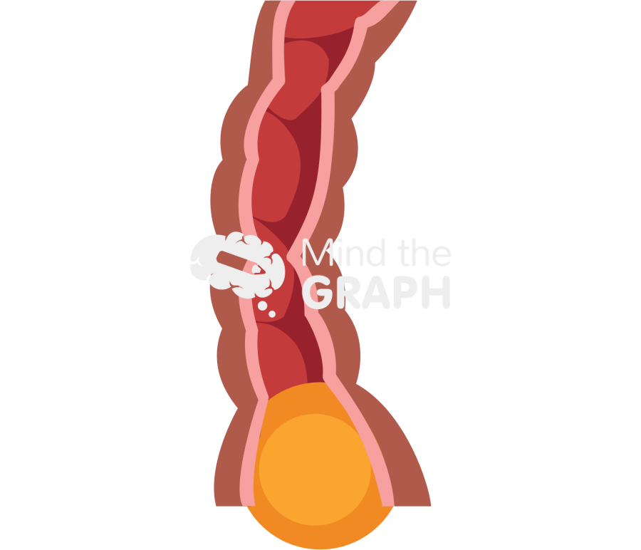 Intestinal food peristalsis 3 Icons, Symbols, Pictures, and Images