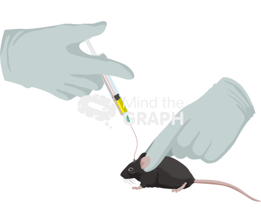 Intracerebral injection c57bl6 Icons, Symbols, Pictures, and Images