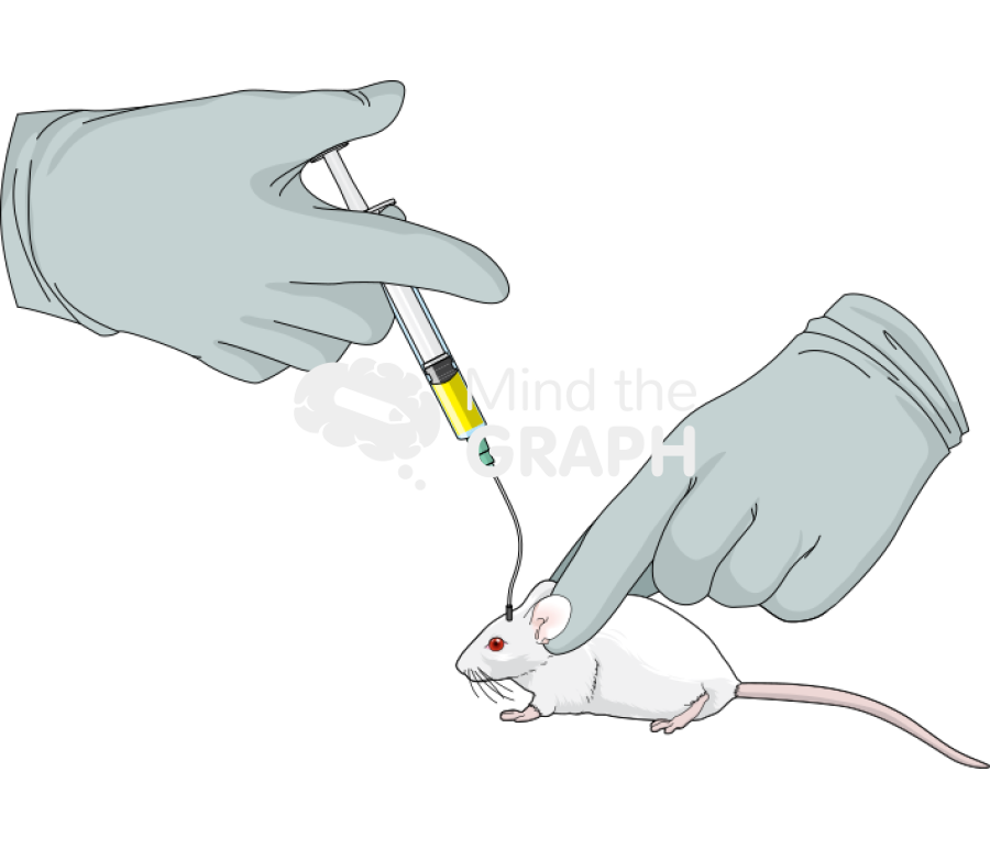 Intracerebral injection swiss Icons, Symbols, Pictures, and Images