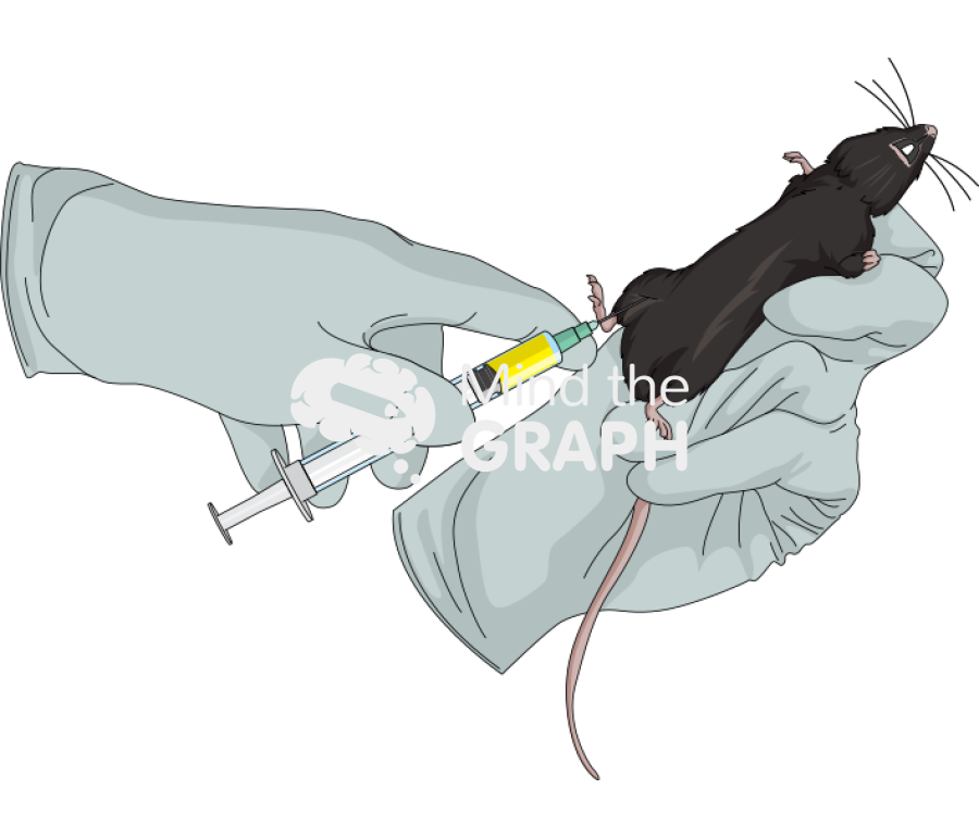 Intramuscular injection c57bl6 1 Icons, Symbols, Pictures, and Images