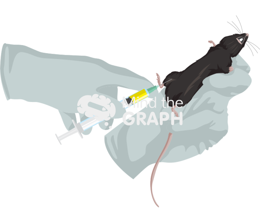 Intramuscular injection c57bl6 1 Icons, Symbols, Pictures, and Images