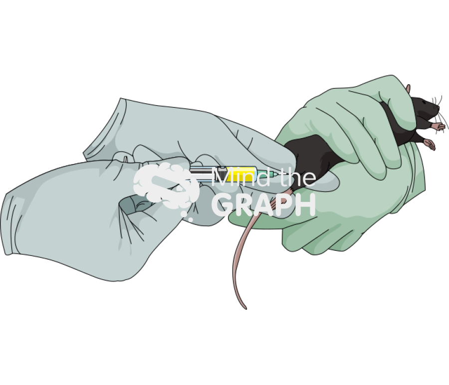 Intramuscular injection c57bl6 3 Icons, Symbols, Pictures, and Images