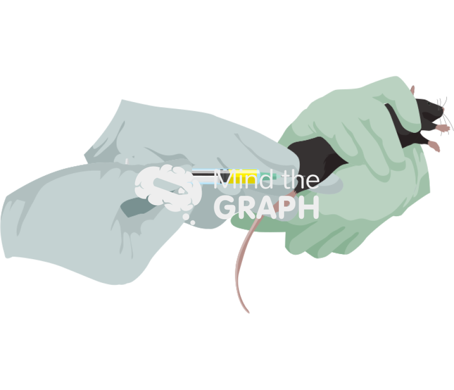Intramuscular injection c57bl6 3 Icons, Symbols, Pictures, and Images