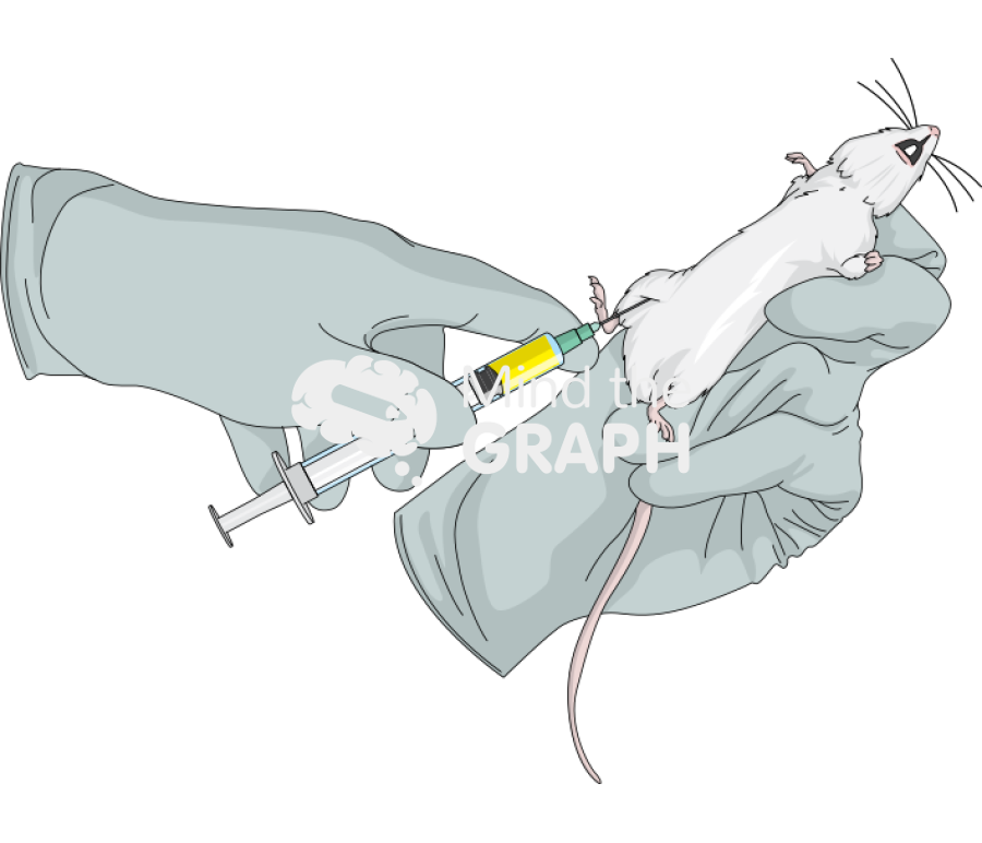 Intramuscular injection swiss 1 Icons, Symbols, Pictures, and Images