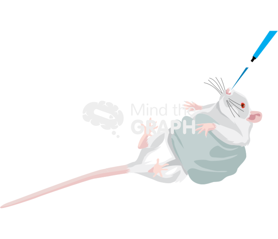 Intranasal route drug administration rat Icons, Symbols, Pictures, and Images