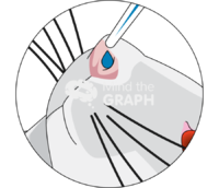 Intranasal route drug administration rat zoom - Edit and Customize Icons of Intranasal route drug administration rat zoom Intranasal route drug administration rat zoom Icons, Symbols, Pictures, and Images