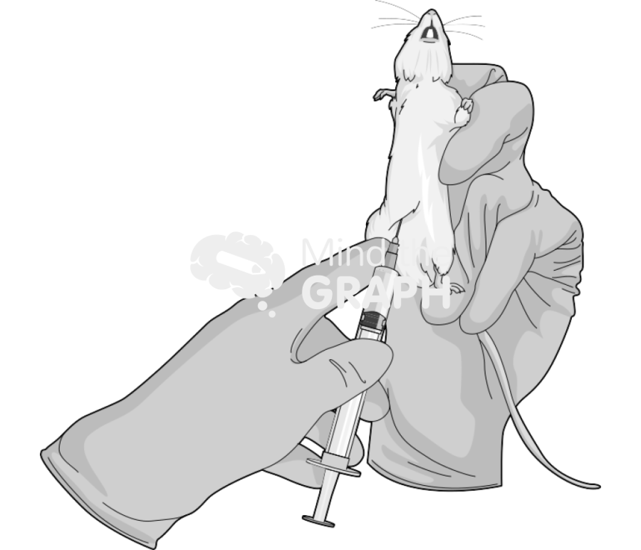 Intraperitoneal injection swiss Icons, Symbols, Pictures, and Images