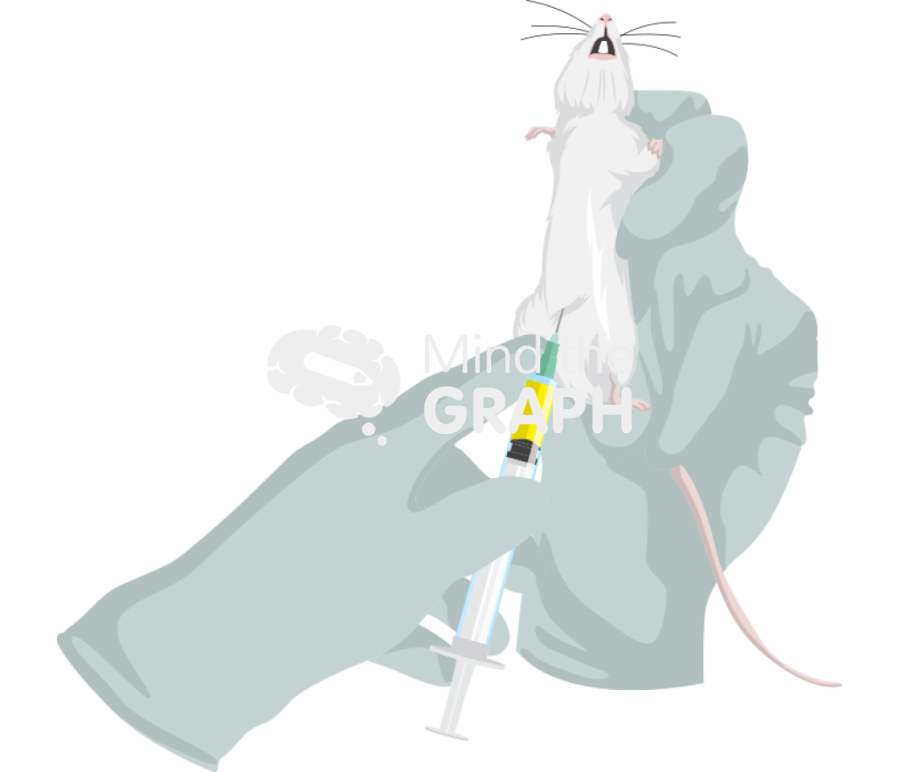 Intraperitoneal injection swiss Icons, Symbols, Pictures, and Images