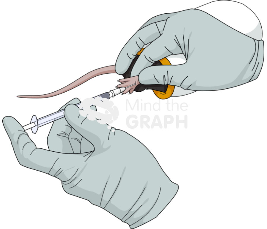 Intraplantar injection c57bi6 Icons, Symbols, Pictures, and Images