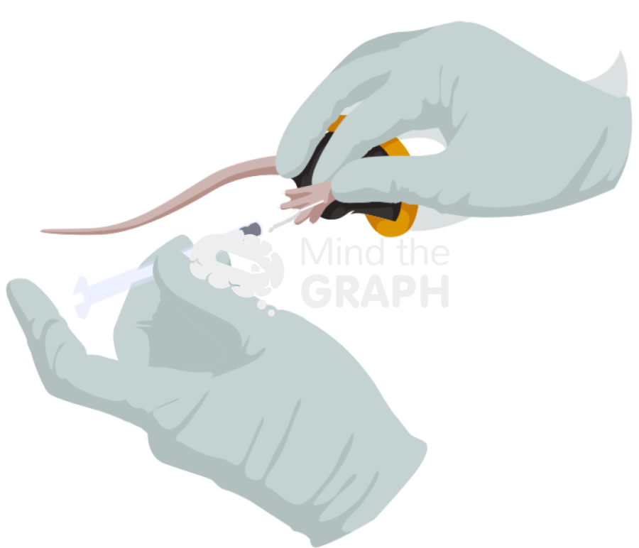 Intraplantar injection c57bi6 Icons, Symbols, Pictures, and Images