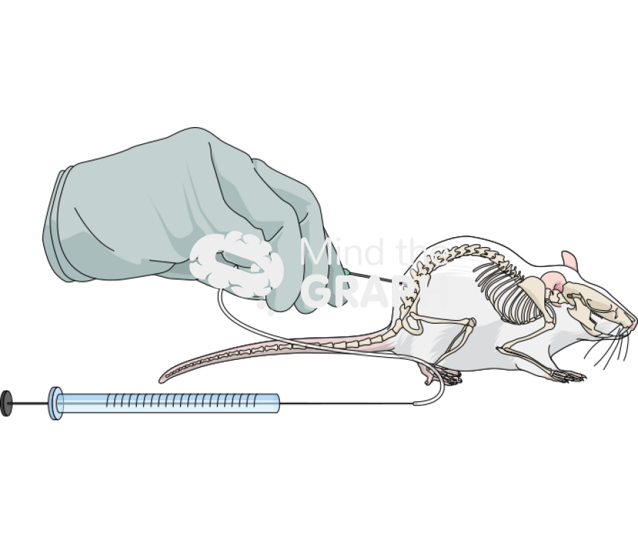 Intrathecal injection mice 2 Icons, Symbols, Pictures, and Images