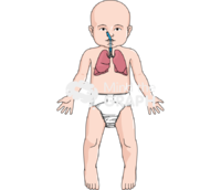 Intubated baby anatomic front - Edit and Customize Icons of Intubated baby anatomic front Intubated baby anatomic front Icons, Symbols, Pictures, and Images