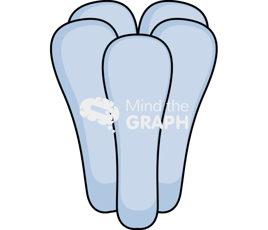 Ionic receptor perspective Icons, Symbols, Pictures, and Images