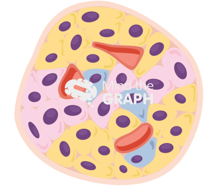 Islet of langerhans Icons, Symbols, Pictures, and Images