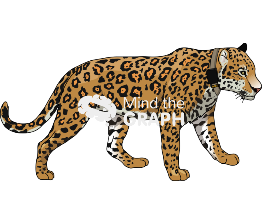 Jauar gps collar Icons, Symbols, Pictures, and Images