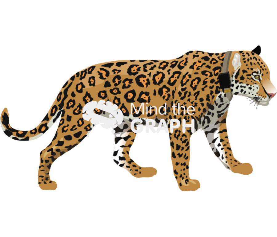 Jauar gps collar Icons, Symbols, Pictures, and Images