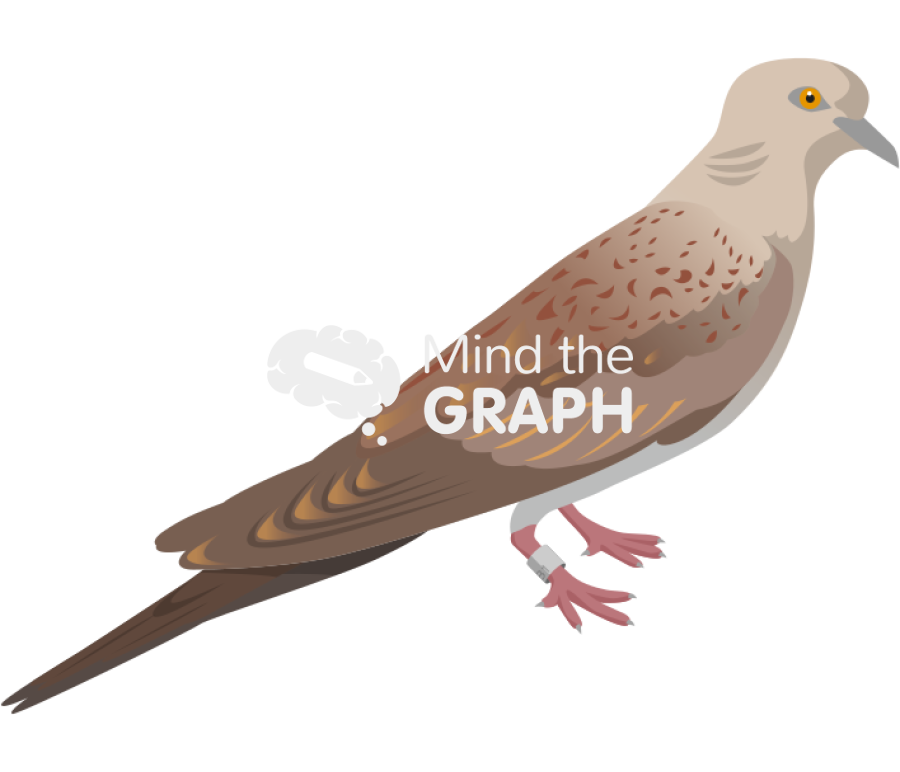 Juvenile european turtle dove identification ring Icons, Symbols, Pictures, and Images