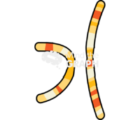 Karyotype 3 Icons, Symbols, Pictures, and Images