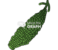 Kelp microscope sporophyte Icons, Symbols, Pictures, and Images