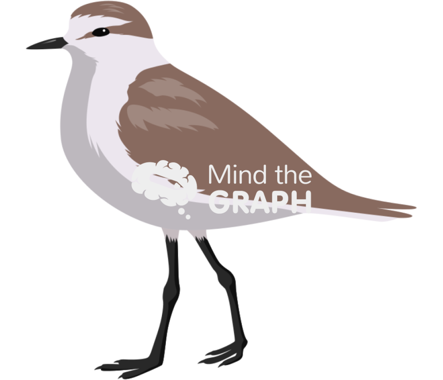 Kentish flover female lateral Icons, Symbols, Pictures, and Images