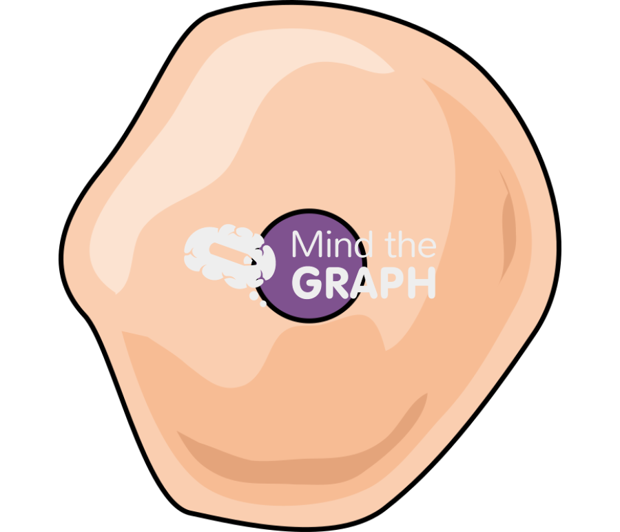 Keratinocyte cell Icons, Symbols, Pictures, and Images