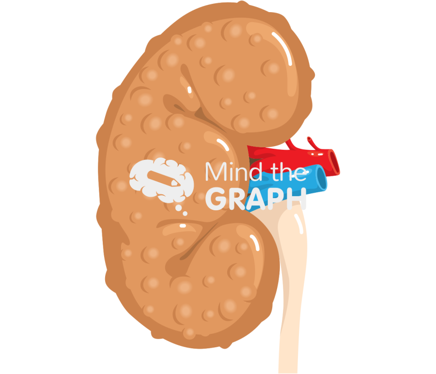 Kidney disease Icons, Symbols, Pictures, and Images