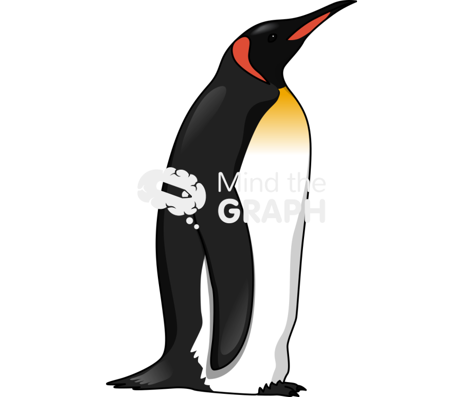 King pengui aptenodytes patagonicus Icons, Symbols, Pictures, and Images