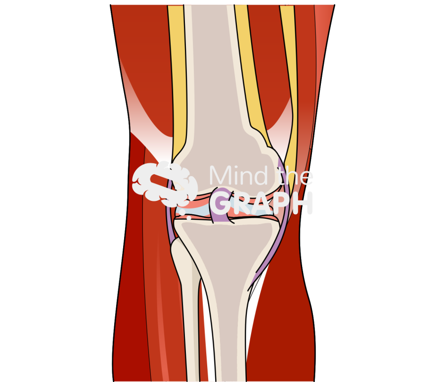 Knee front view Icons, Symbols, Pictures, and Images