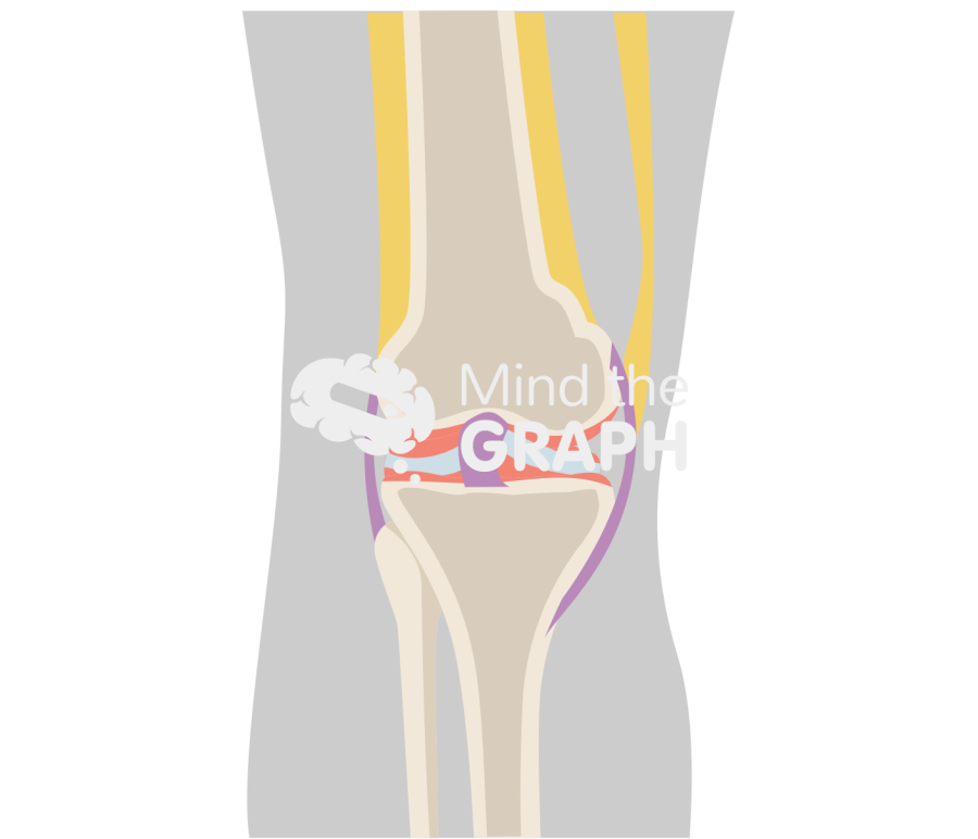 Knee front view body Icons, Symbols, Pictures, and Images