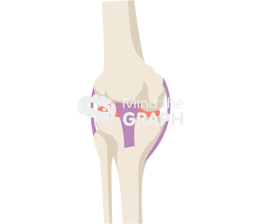 Knee front view bone Icons, Symbols, Pictures, and Images