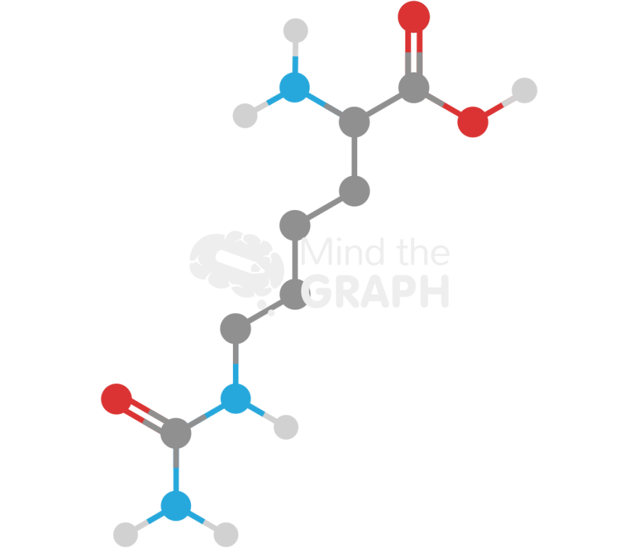L citrulline molecule Icons, Symbols, Pictures, and Images
