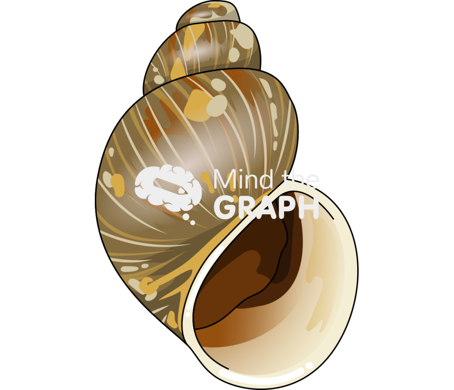 Laevilitorina caliginosa Icons, Symbols, Pictures, and Images